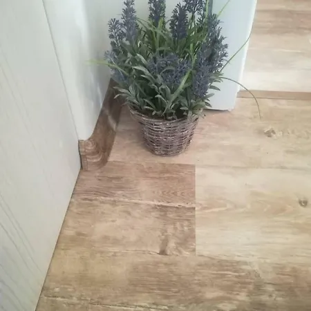 Batoevi Apartamento Sozopol