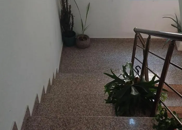 Batoevi Созопол